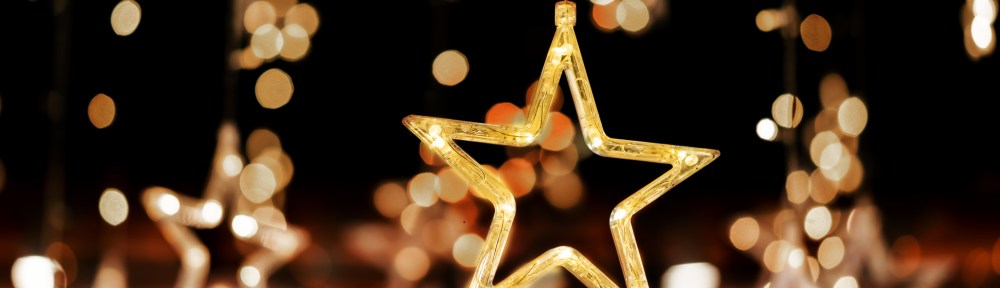 Scott Asner Holiday Lights Kansas City